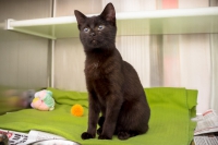 thumb_© Nina Zesar_TiKo_K22364_Oliver thumb_© Nina Zesar_TiKo_K22364_Oliver